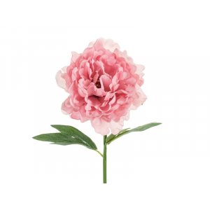 Pionblomma - 35 cm - Rosa Pionblomma - 35 cm - Rosa