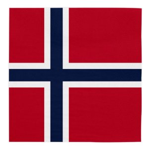 Servetter - Norge - 33x33 cm - 20-pack