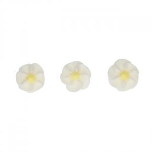 Sockerblomor - Små prästkragar