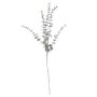 Eucalyptuskvist - 74 cm - Grn