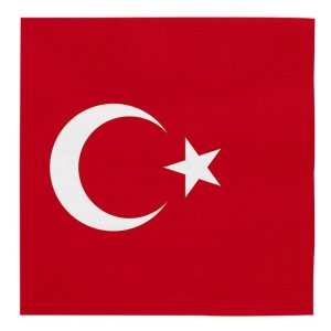 Servetter - Turkiet - 33x33 cm - 20-pack