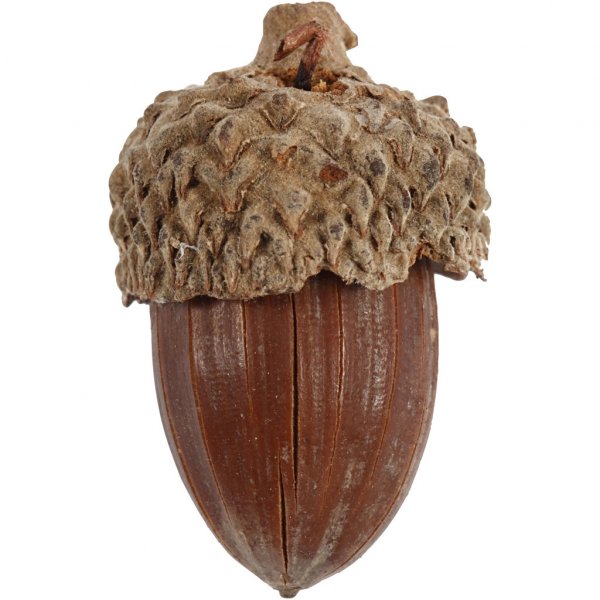 Ekollon - 12-pack Ekollon - 12-pack