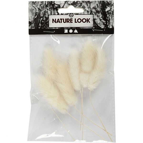 Torkat gräs - Bunny Tails - Mini - 6-pack Torkat gräs - Bunny Tails - Mini - 6-pack