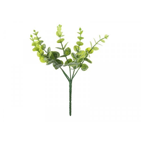 Liten kvist-bukett - Eukalyptus - 27 cm