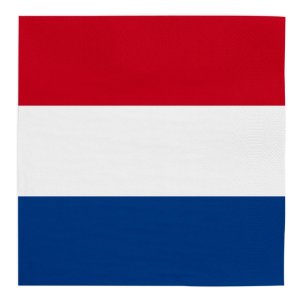 Servetter - Holland - 33x33 cm - 20 st Servetter - Holland - 33x33 cm - 20 st