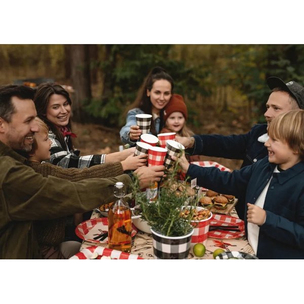 Pappmuggar - Rutiga - 6-pack