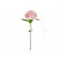 Hortenisa - 69 cm - Premium - Ljusrosa