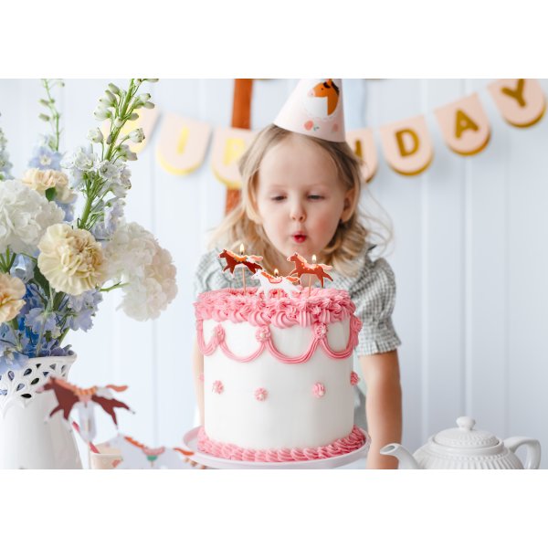 Trtljus - hstar- 3 st