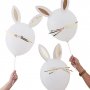 Ballonger - Kanin - Daisy Crazy - 5-pack