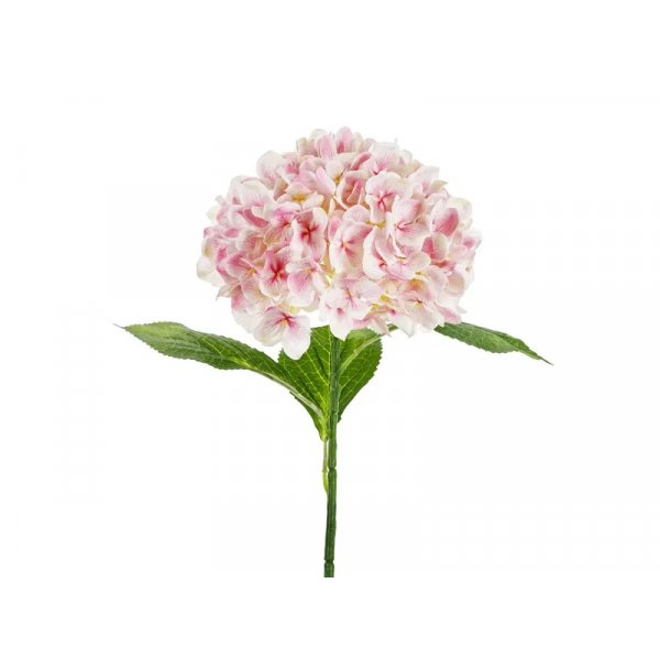 Hortenisa - 69 cm - Premium - Ljusrosa