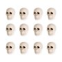 D�skallar - Dekoration - Mini - 12-pack