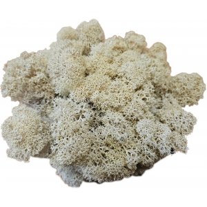 Vitmossa - Dekoration - Stor påse - 100 g Vitmossa - Dekoration - Stor påse - 100 g
