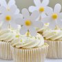 Cake picks - Tusensk�nor - 12 st