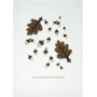 Ekollon kkshandduk 50 x 70 cm - Mrk nougat