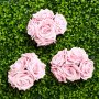 Rosor - Stora - Ljusrosa - 5-pack