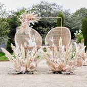 A touch of pampas A touch of pampas