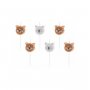 T�rtljus Bj�rnar 6-pack