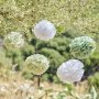 Pom Poms - 5-pack - Sage/Vit