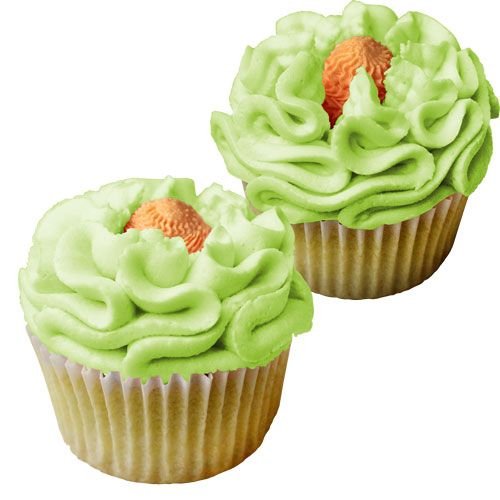 Twist Twist Tyll - 10T & 11T - JEM - 2-pack