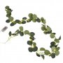Ljusslinga - Eucalyptus