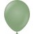 Ballonger enfrgade - Premium 30 cm - Eucalyptus - 10-pack