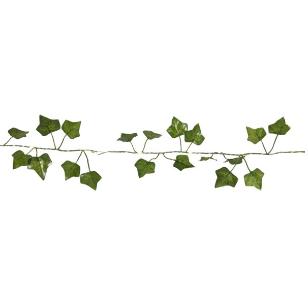 Blomestergirlang - Lysande Murgrna - 2m