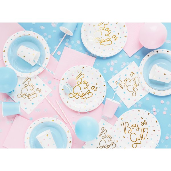 Papptallrikar - Boy or girl? - 6-pack Papptallrikar - Boy or girl? - 6-pack