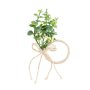 Servettringar - Blommor - 6 cm