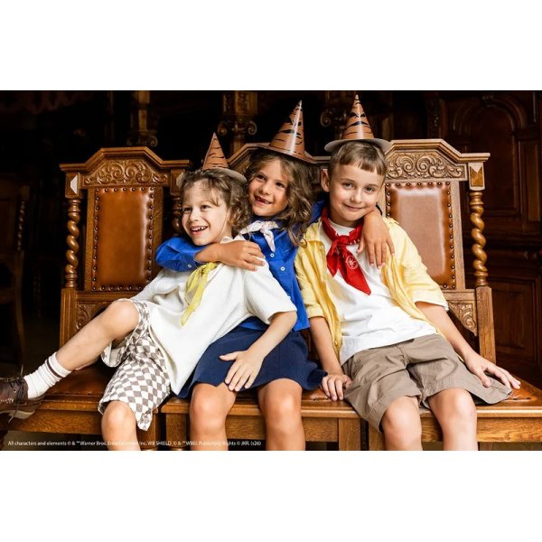 Partyhattar - Harry Potter - 6-pack