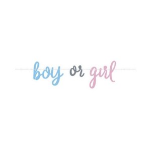 Banner Boy or Girl