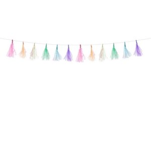 Girlang Tassels Skimrande