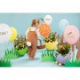 Ballonger f�r �ggjakt, P�skballonger