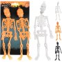 Skelett 2 pack