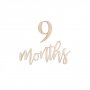 Milestone kit - Tr - Gravid & Baby