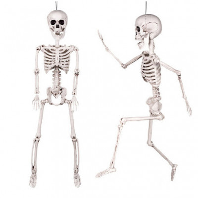 Skelett - 60 cm