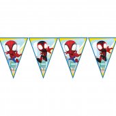 Spidey & hos amazing friends