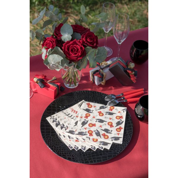 Servetter - Examen - 20-pack (33 x 33 cm)