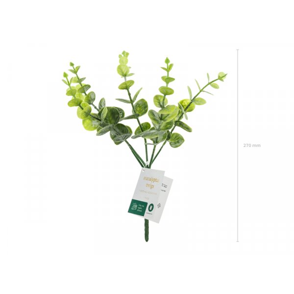 Liten kvist-bukett - Eukalyptus - 27 cm