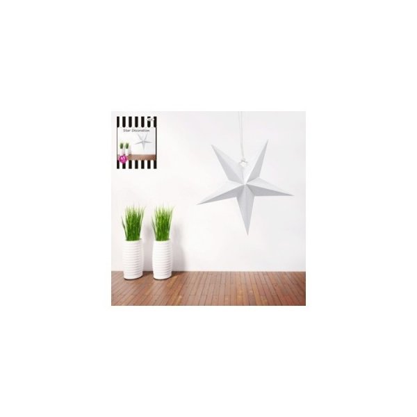 Dekoration Stj�rna Vit