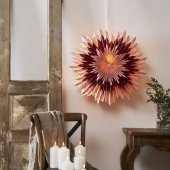 Julstjärnor/Belysning Julstjärnor/Belysning