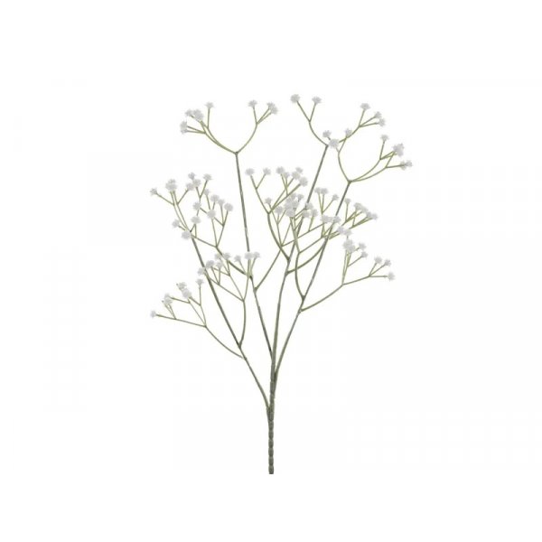 Sljblommor - 62 cm