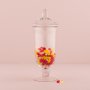 Apothecary Jar - Oval