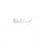Br�llopsgirlang Wedding Silver