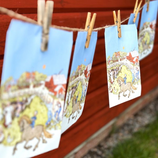 Godis/Fiskedammspåsar - Emil i Lönneberga - 8-pack Godis/Fiskedammspåsar - Emil i Lönneberga - 8-pack